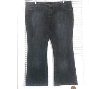 Daisy Fuentes - Dark Wash Bootcut Jeans!